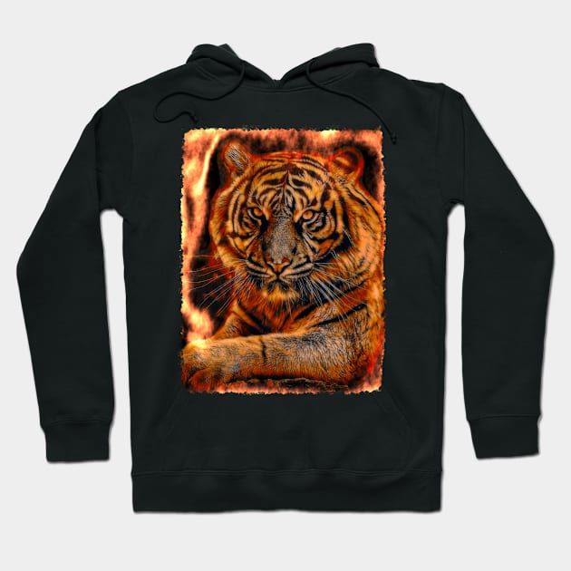 Fire tiger color power Hoodie by UMF - Fwo Faces Frog